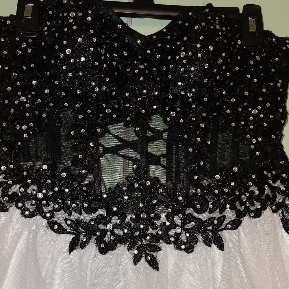 Blondie nite by Stacy Sklar fit and flair dress